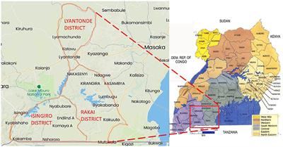 Survey of Candidate Single-Nucleotide Polymorphisms in SLC11A1, TLR4, NOD2, PGLYRP1, and IFNγ in Ankole Longhorn Cattle in Central Region of Uganda to Determine Their Role in Mycobacterium avium Subspecies paratuberculosis Infection Outcome